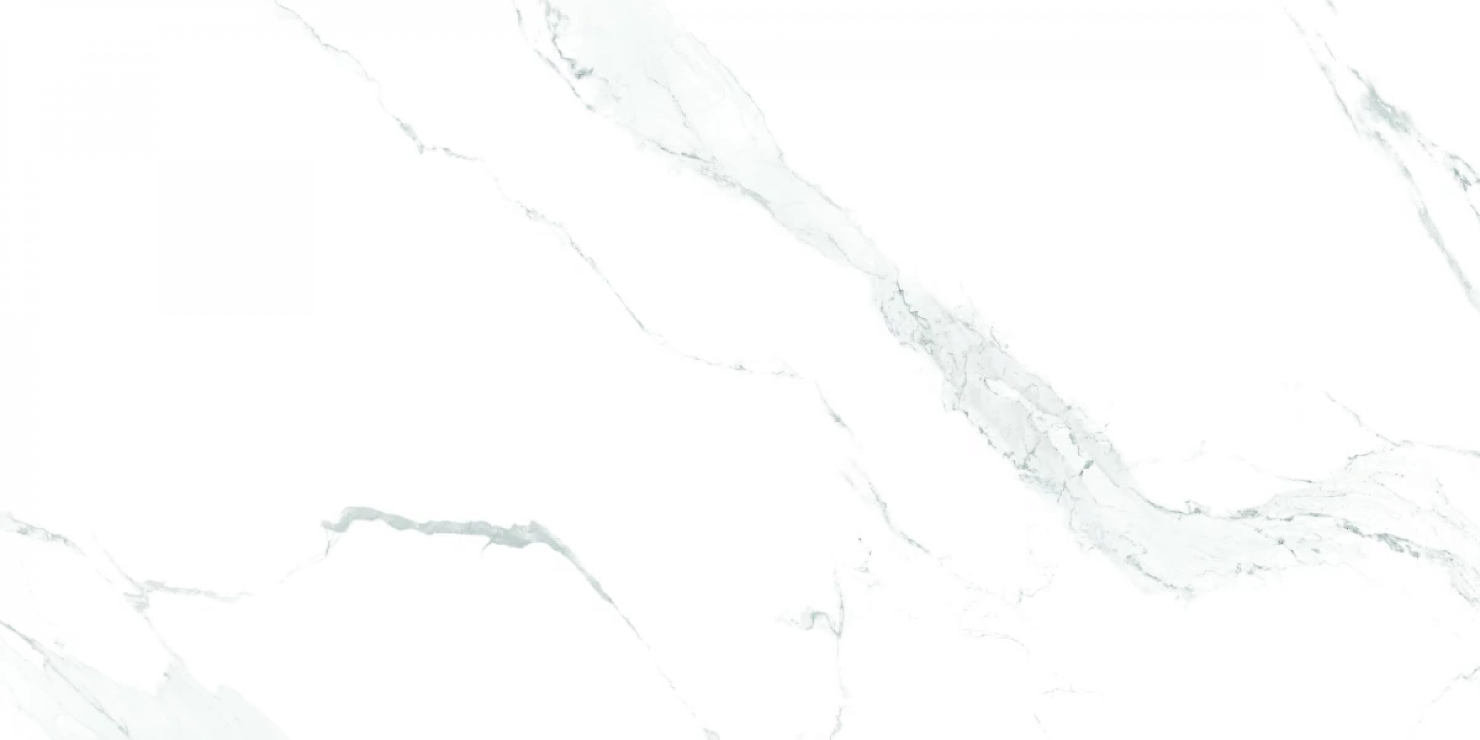 MAIMOON CERAMIC - CARRARA WHITE Matt Punch 60х120