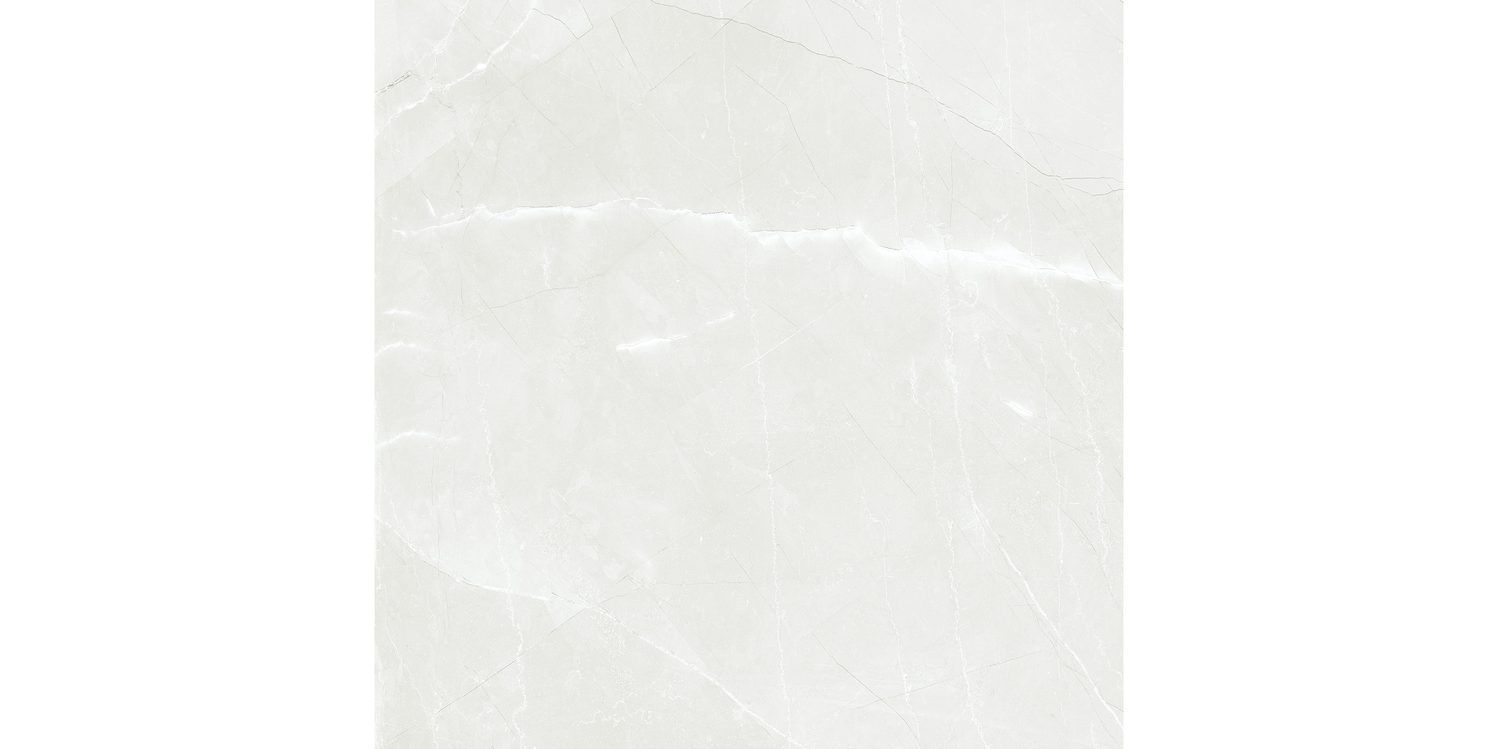 MAIMOON CERAMIC - Citron Bianco 60x60