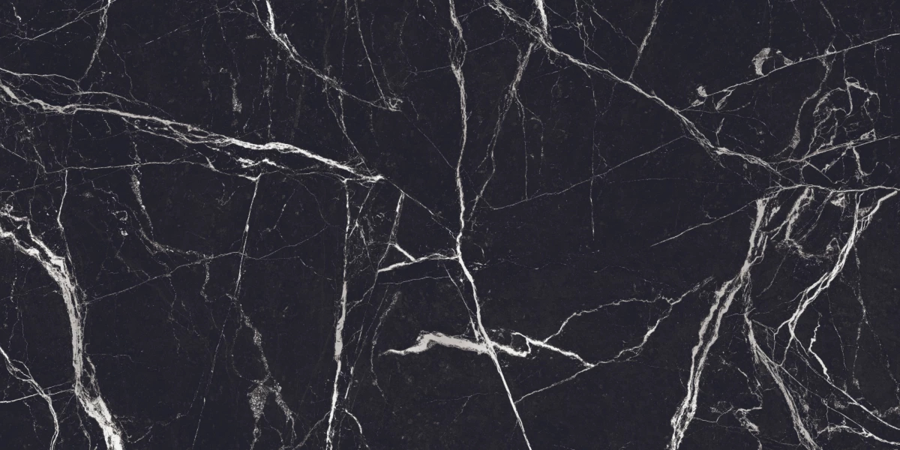 MAIMOON CERAMIC - Marquina White 120x60