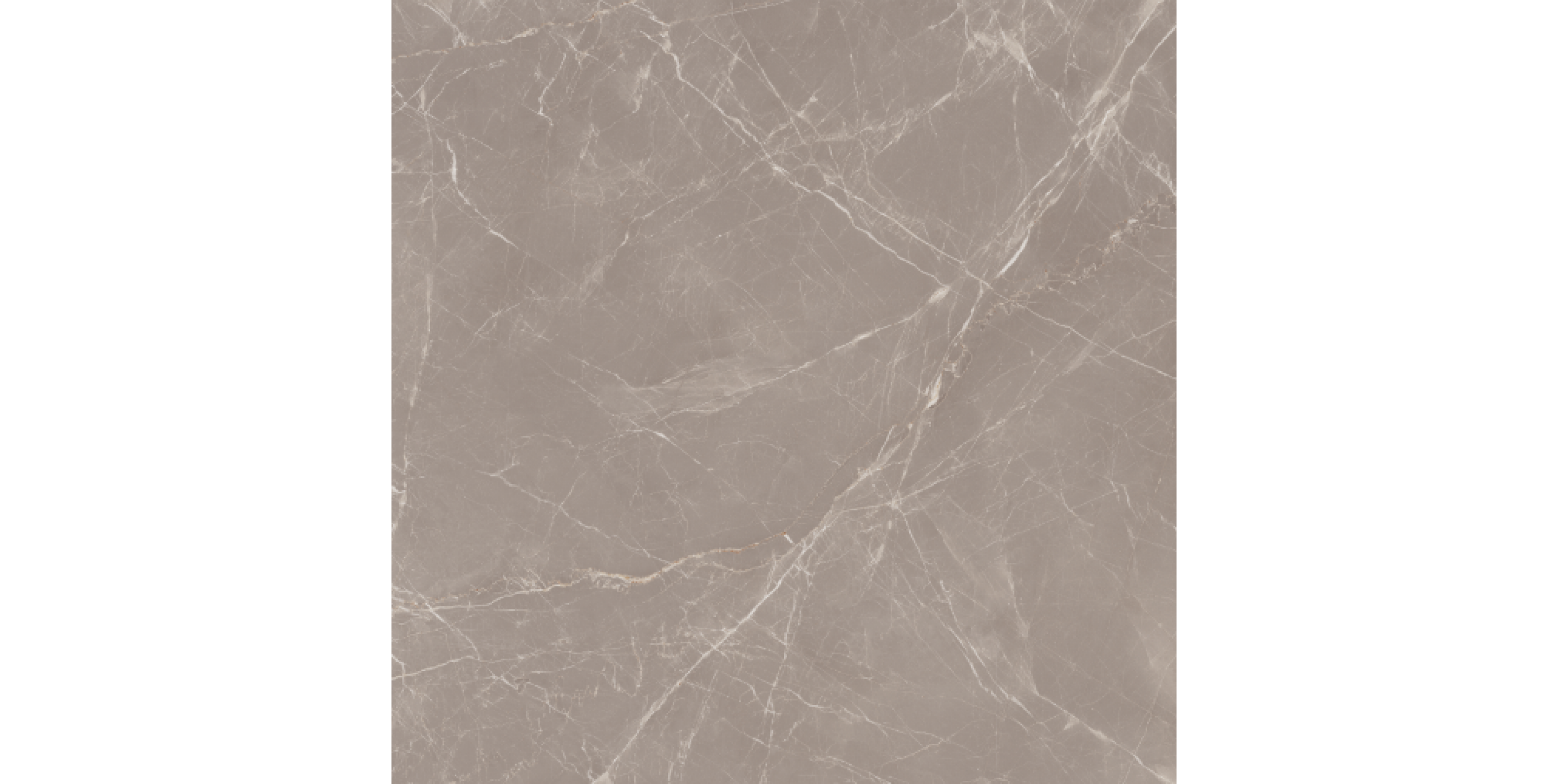 MAIMOON CERAMIC - Slabs Prestige Dove 120х120