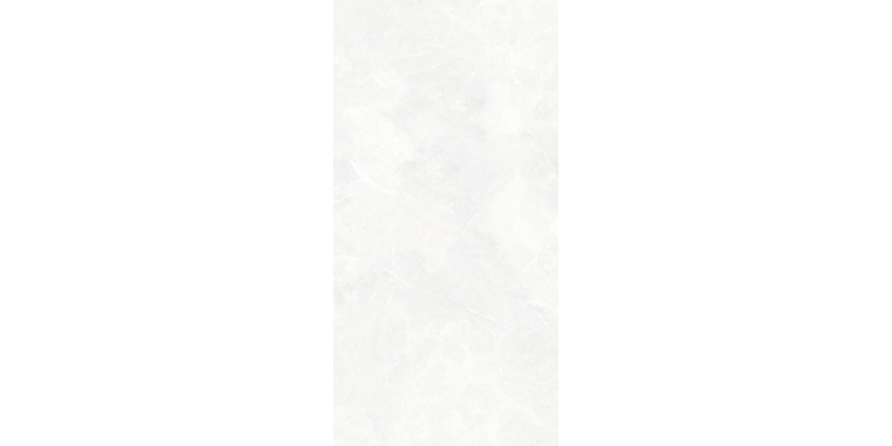 NB CERAMIC - WHITE MARBLE 120x60